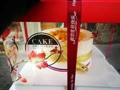 -维尔纳斯·生日蛋糕·动物奶油冰淇淋蛋糕(六里桥店)
