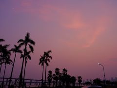 -海堤纪念公园