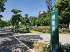 -金银湖国家城市湿地公园