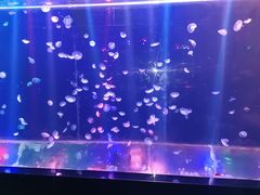 -邯郸海洋世界
