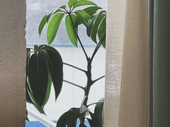 -CENTTY辛蒂咖啡·烘焙·西点(天兰社区新生活中心店)