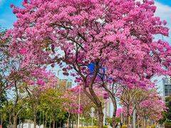 -万科前海企业公馆