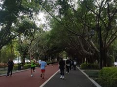 -南宁南湖公园