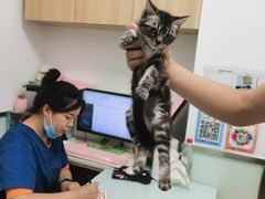 -宠福鑫康馨动物医院·骨科·眼科