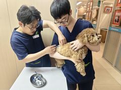 -美迦爱-牙专科·兔科·骨科诊疗中心(北苑店)