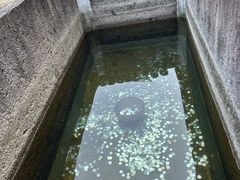 -蔡元培故居