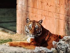 -杭州野生动物世界