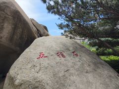 -崂山仰口游览区