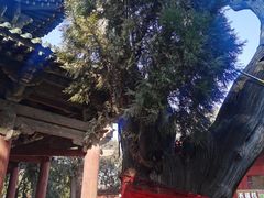 -关帝圣像景区
