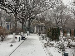 -睦南公园