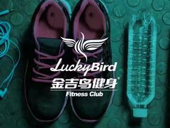 -金吉鸟健身游泳