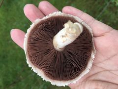 -青海茶卡盐湖文化旅游发展股份有限公司