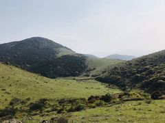 -大姆山草场