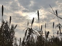 -炳胜公馆(珠江新城店)