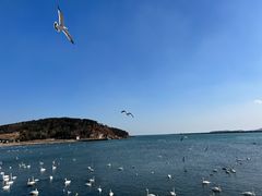 -烟墩角天鹅湖