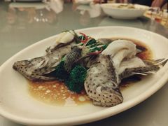 -绿岛国际酒店·海鲜酒楼(八七路店)