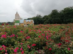 -松山湖梦幻百花洲