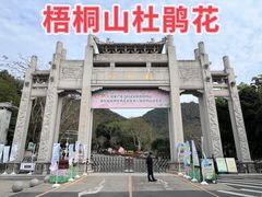 -梧桐山风景名胜区