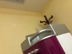 -康乃馨·馨悦佳人(鹭江店)