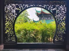-桂湖森林公园