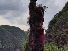 -朱砂古镇