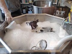 -PETKIT小佩宠物(古北店)