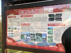 -野狸岛