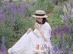 -紫颐香薰山谷景区