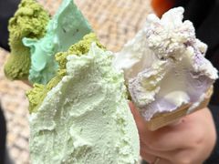 -柠檬车露(卖草地店)