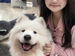 -星多哈·狗咖·拼豆·咖啡