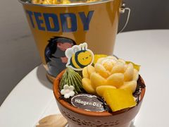 -哈根达斯(龙湖时代天街店)