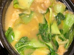 -苗小坛酸汤鱼(酒仙桥店)