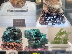 -安徽省地质博物馆