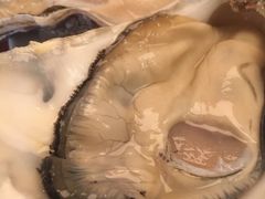 -Oyster Talks 四度蚝法餐厅