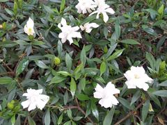 -四川大学(华西校区)