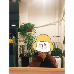 -大象造型