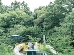 -杭州少年儿童公园