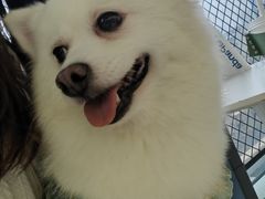 -怪兽屋·羊驼·猫咖·狗咖(俊华广场店)