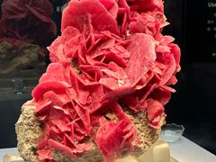 -湖南省地质博物馆