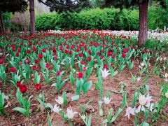 -长春公园(普阳街道)