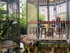 -Rainforest