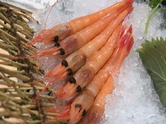 -上渔铁板烧(熙悦汇店)