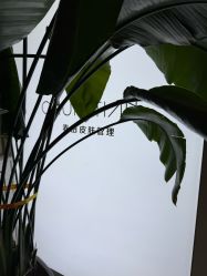 -春田皮肤管理中心品牌旗舰店