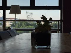 -南开大学滨海学院