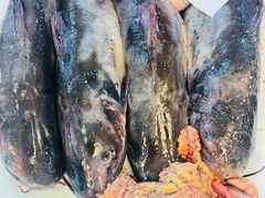 黑龙鱼-老刘生态大鱼坊铁锅炖鱼(赛马场店)