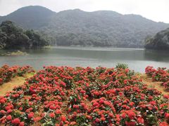 -广州市石门国家森林公园