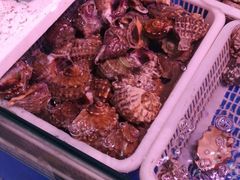 -锦绣大地生鲜食品厅