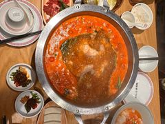 -老凯俚酸汤鱼(多彩城店)