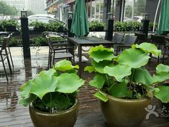 -上下九广州菜馆(锦业路店)
