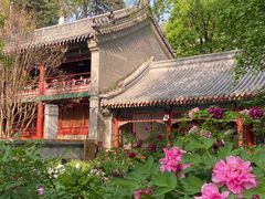 -潭柘寺景区